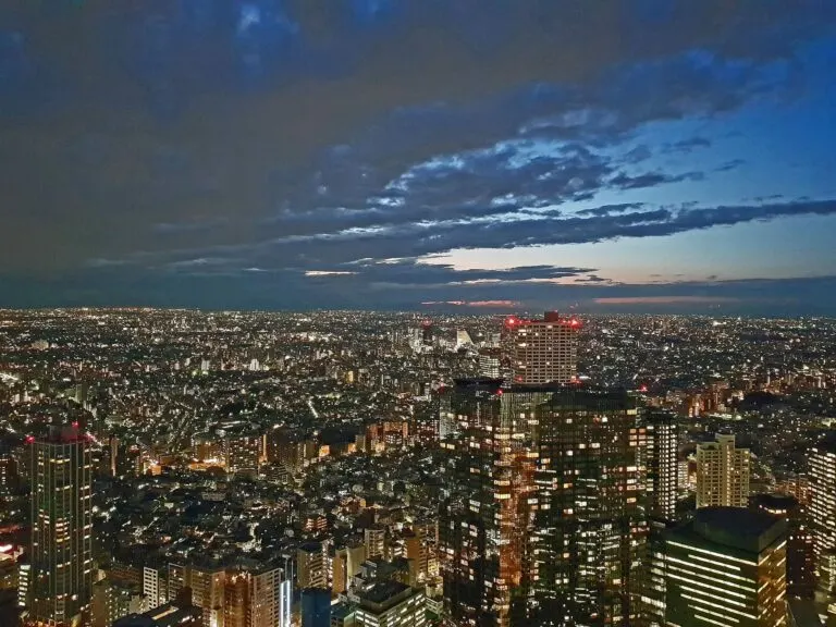 Tokyo by night seen from the Metropolitan Government Building