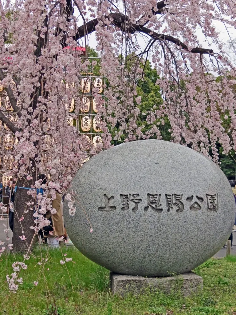 The entrance of Ueno Garden in the Sakura Season
